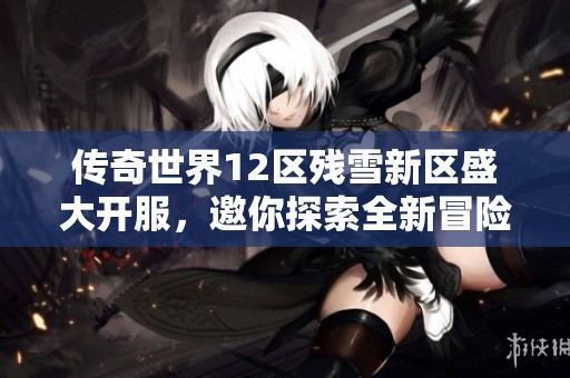 传奇世界12区残雪新区盛大开服，邀你探索全新冒险旅程！
