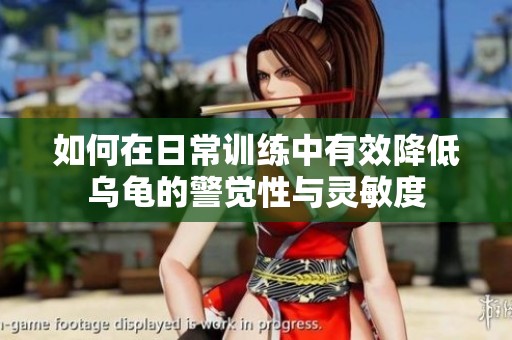 如何在日常训练中有效降低乌龟的警觉性与灵敏度