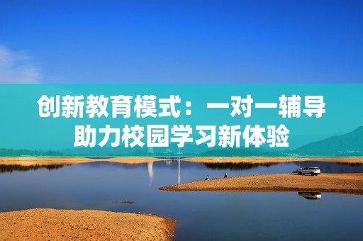 创新教育模式：一对一辅导助力校园学习新体验