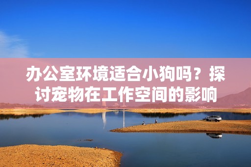 办公室环境适合小狗吗？探讨宠物在工作空间的影响
