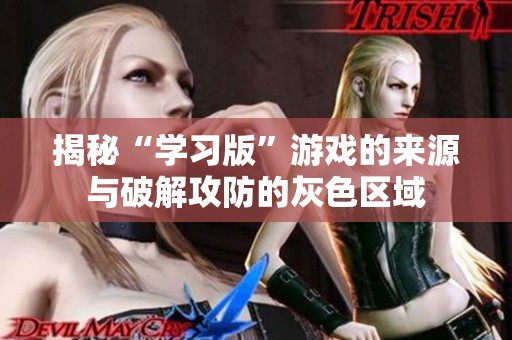 揭秘“学习版”游戏的来源与破解攻防的灰色区域