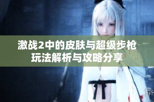 激战2中的皮肤与超级步枪玩法解析与攻略分享