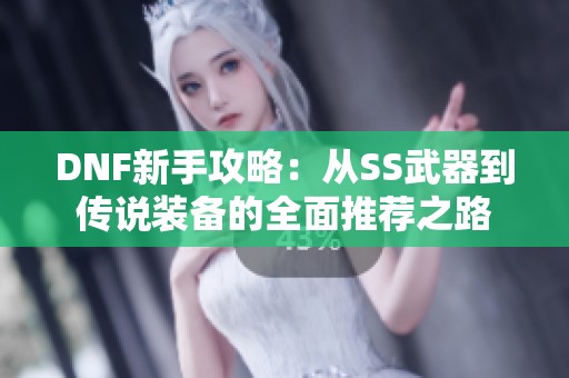 DNF新手攻略：从SS武器到传说装备的全面推荐之路