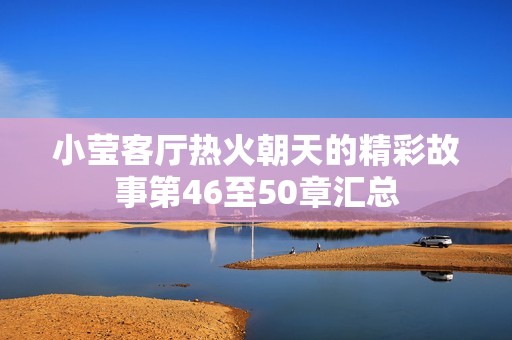 小莹客厅热火朝天的精彩故事第46至50章汇总