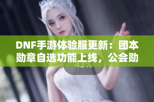 DNF手游体验服更新：团本勋章自选功能上线，公会勋章全新加入