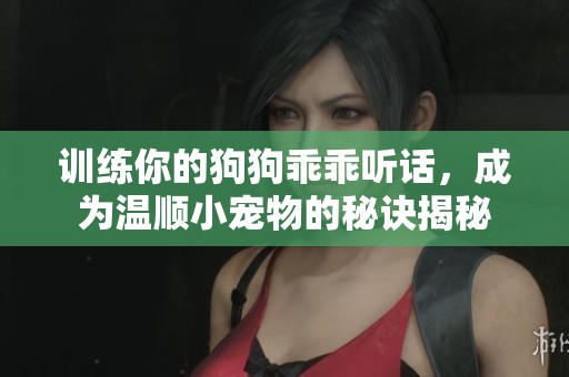 训练你的狗狗乖乖听话，成为温顺小宠物的秘诀揭秘