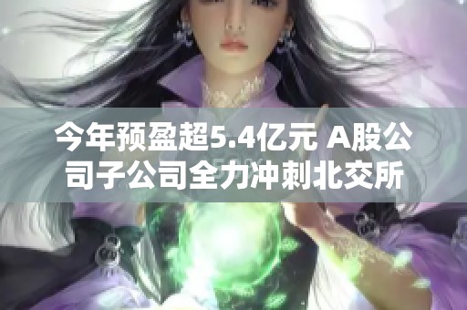 今年预盈超5.4亿元 A股公司子公司全力冲刺北交所