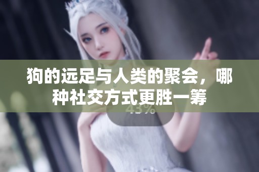 狗的远足与人类的聚会，哪种社交方式更胜一筹