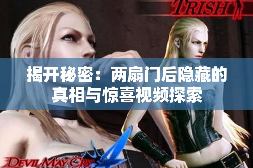 揭开秘密：两扇门后隐藏的真相与惊喜视频探索
