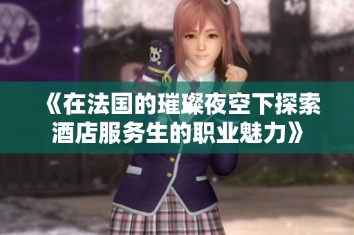 《在法国的璀璨夜空下探索酒店服务生的职业魅力》