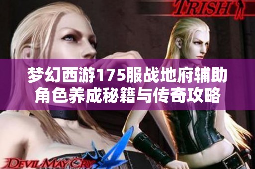 梦幻西游175服战地府辅助角色养成秘籍与传奇攻略