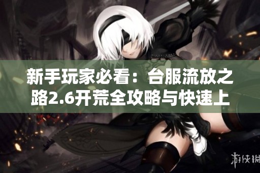 新手玩家必看：台服流放之路2.6开荒全攻略与快速上手指南