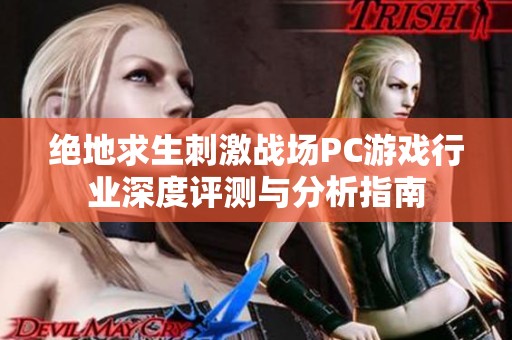 绝地求生刺激战场PC游戏行业深度评测与分析指南