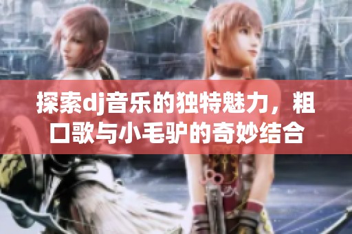 探索dj音乐的独特魅力，粗口歌与小毛驴的奇妙结合