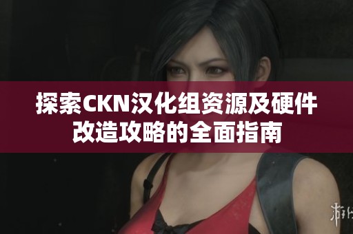 探索CKN汉化组资源及硬件改造攻略的全面指南