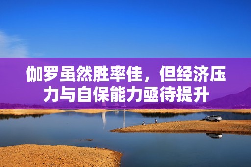 伽罗虽然胜率佳，但经济压力与自保能力亟待提升