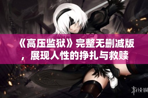 《高压监狱》完整无删减版，展现人性的挣扎与救赎