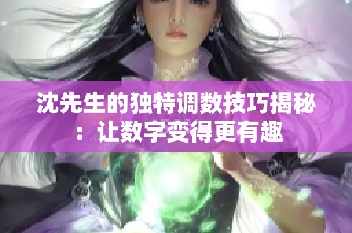 沈先生的独特调数技巧揭秘：让数字变得更有趣