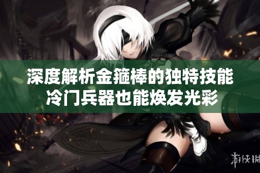 深度解析金箍棒的独特技能 冷门兵器也能焕发光彩