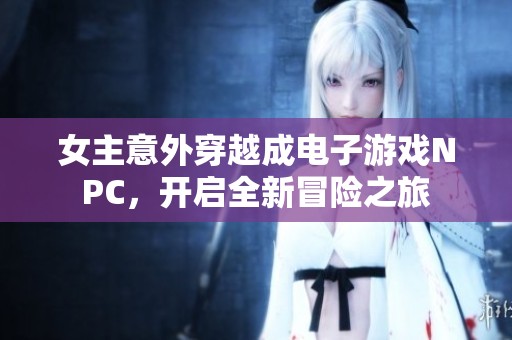 女主意外穿越成电子游戏NPC，开启全新冒险之旅