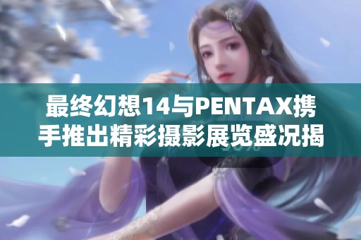 最终幻想14与PENTAX携手推出精彩摄影展览盛况揭秘