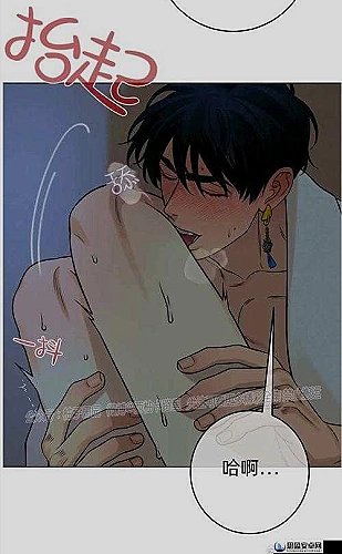 ·成也萧河 封面