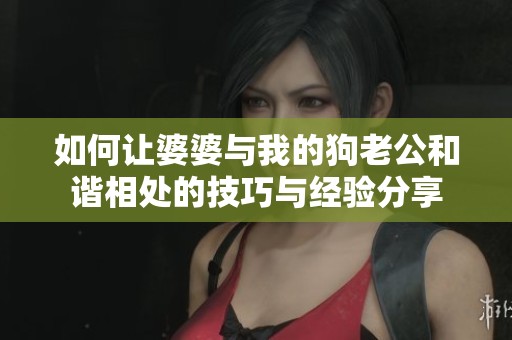 如何让婆婆与我的狗老公和谐相处的技巧与经验分享