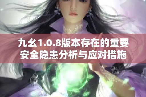 九幺1.0.8版本存在的重要安全隐患分析与应对措施
